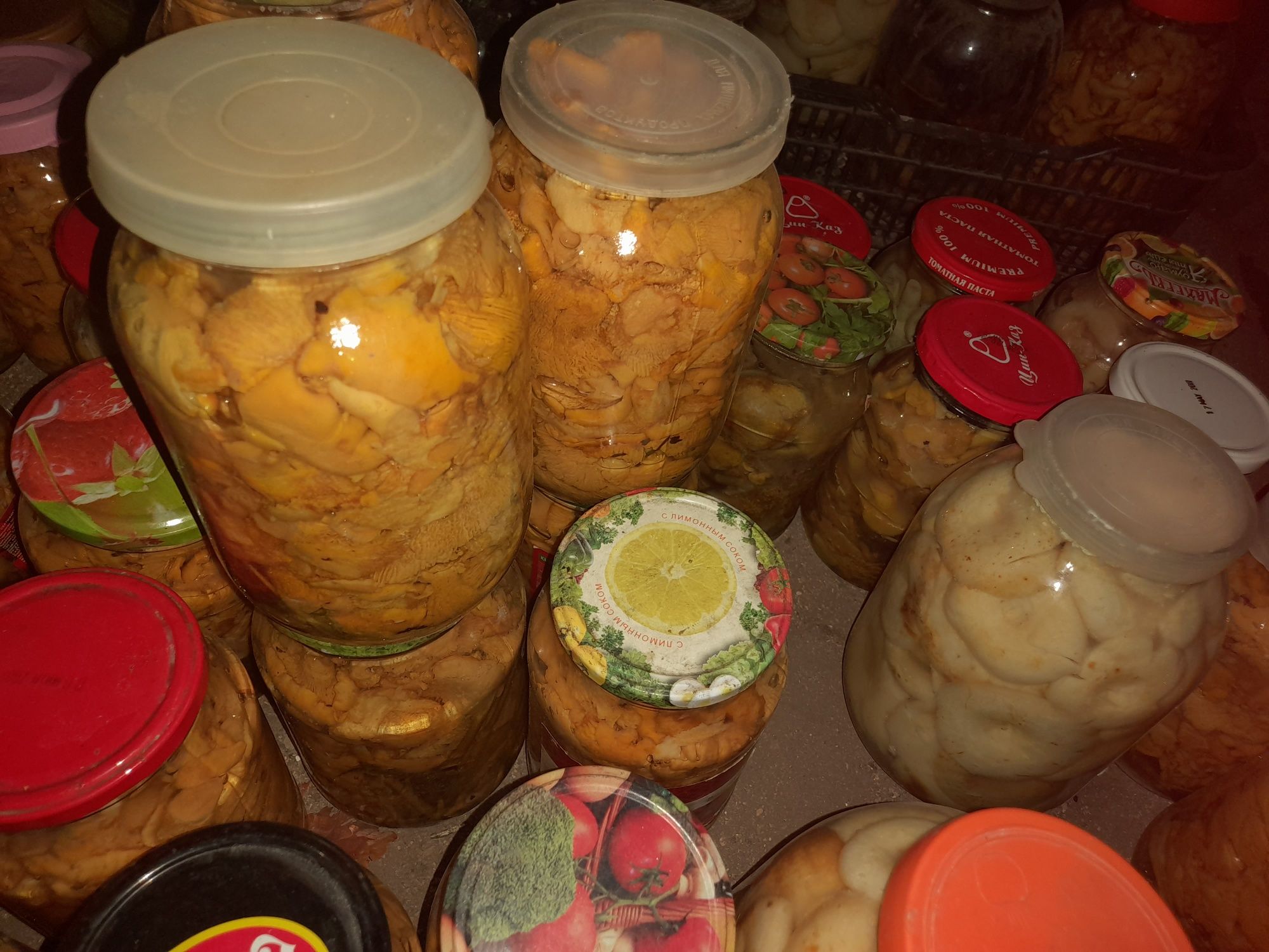Продам грибы грузди,лисички,обабки