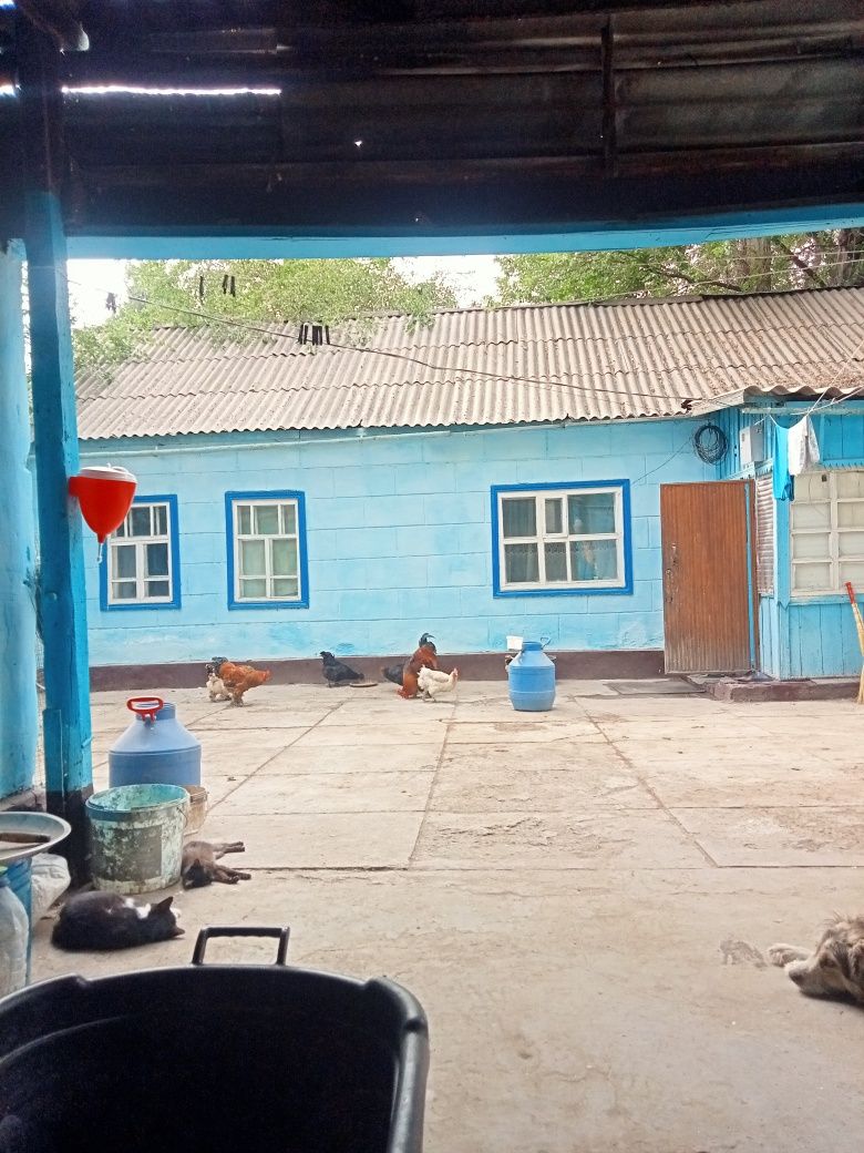 Продам дом  г.Шу