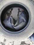 Две разные шины 195/65/15R Kinergi и Viaeel