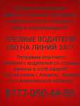 Трезвые водители Алматы!