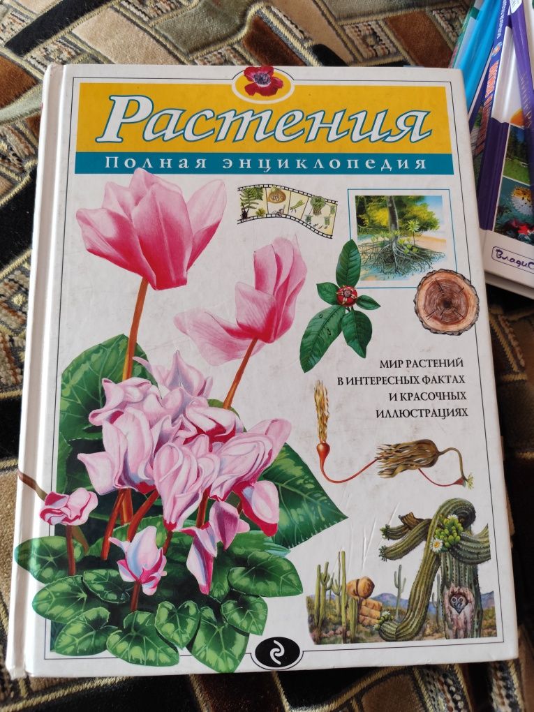 Книги ,одна 2 тыс,в хорошем состоянии