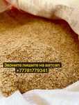 ячмень высокого качества – доставка и отгрузка