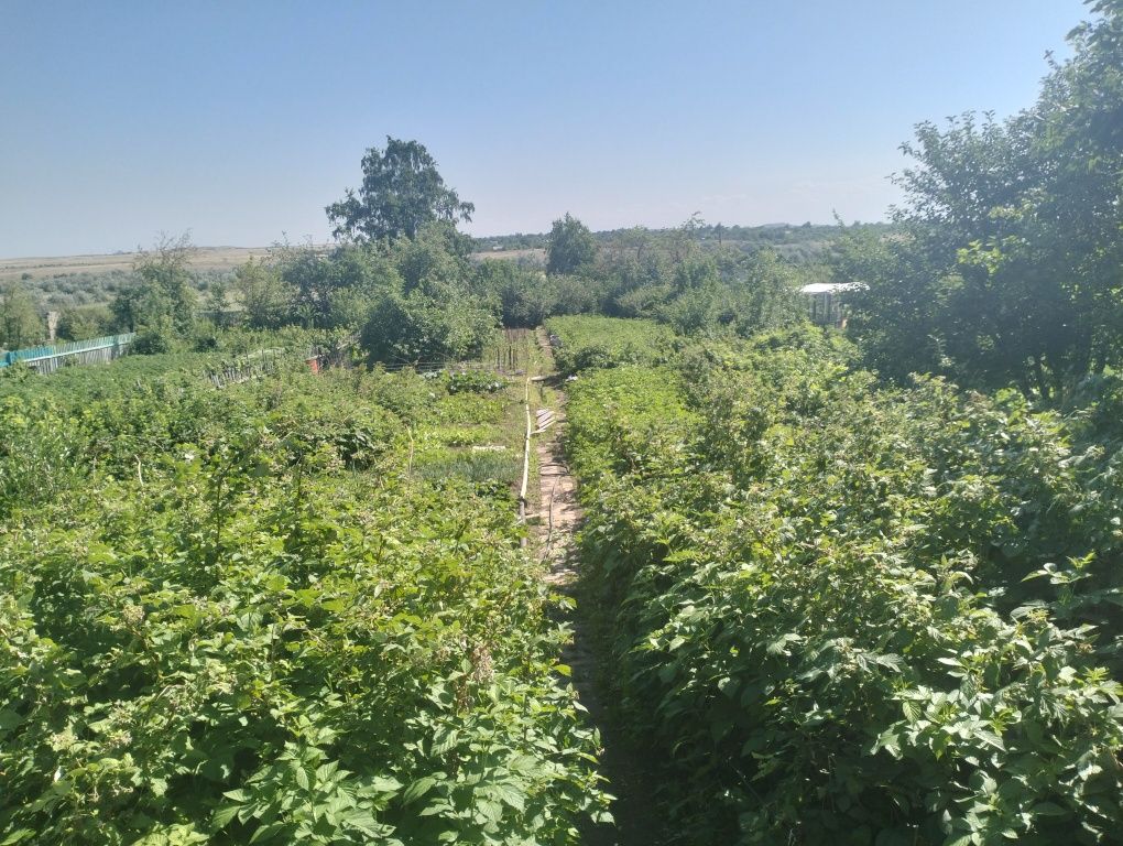 Продается Дача в Обществе трест МЖС
