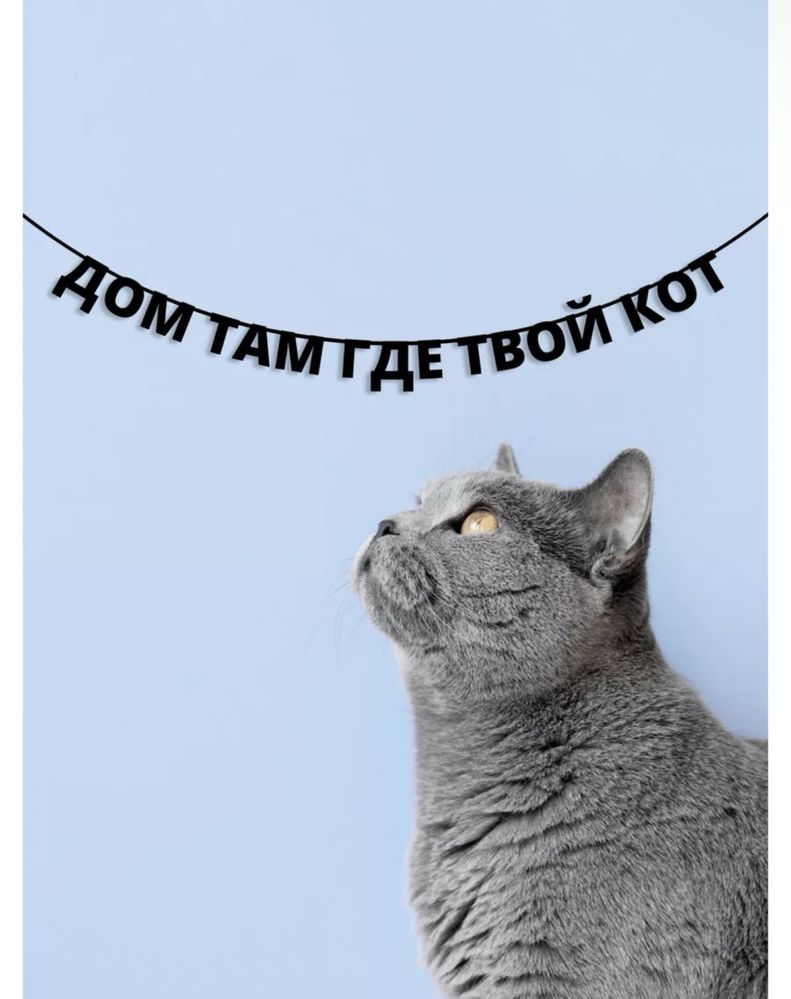 Гирлянды-надписи на стену.