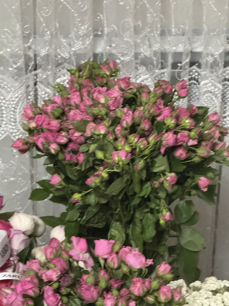 Прекрасные цветы