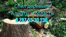 Спилить дерево, спил деревьев,  пилить, спилить