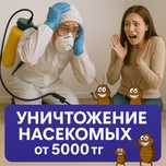 Дезинфекция тараканы | клопы