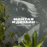 Креативный дизайн + видео монтаж под ключ