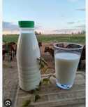 Продам козье молоко.