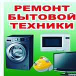 Без выходных Ремонт пылесосов  микроволновок  утюгов бытовой техники