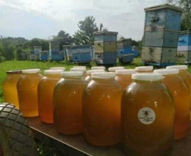Выбирайте только натуральный  100 % продукт Мёд с ВКО