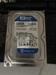 Жесткий диск Western Digital