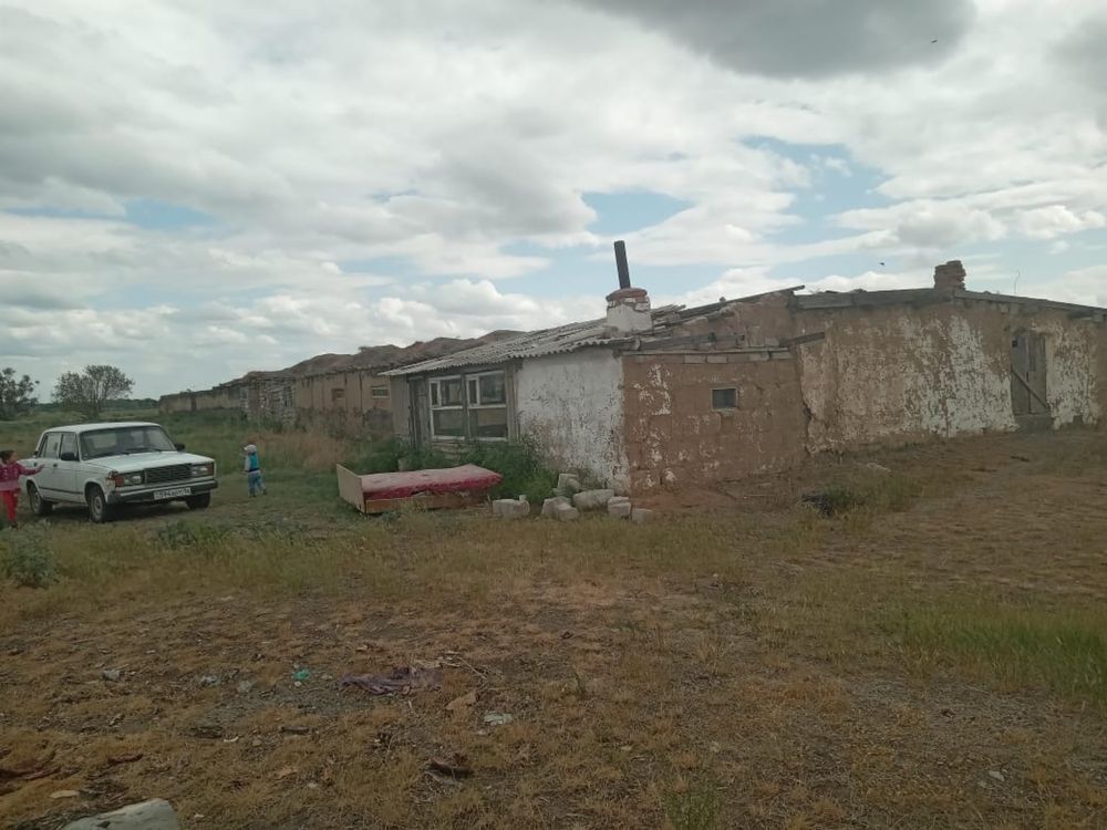 Продам фермерское хозяйство село актогай