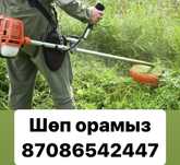 Шөп орамыз, косим траву