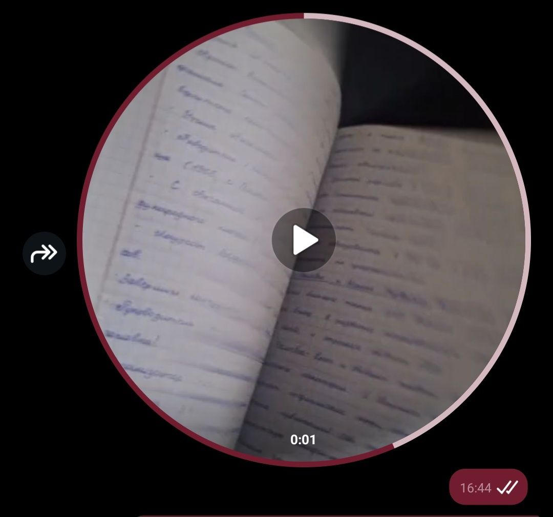 пишу конспекты, лекции, практики, сочинения