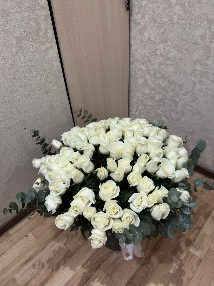 Цветы 101 Роза белый