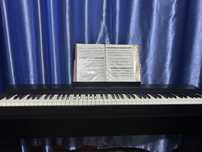 Цифровое пианино CASIO Privia PX-160