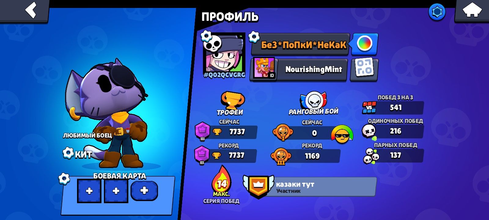Аккаунт олдавские очень много скинов
