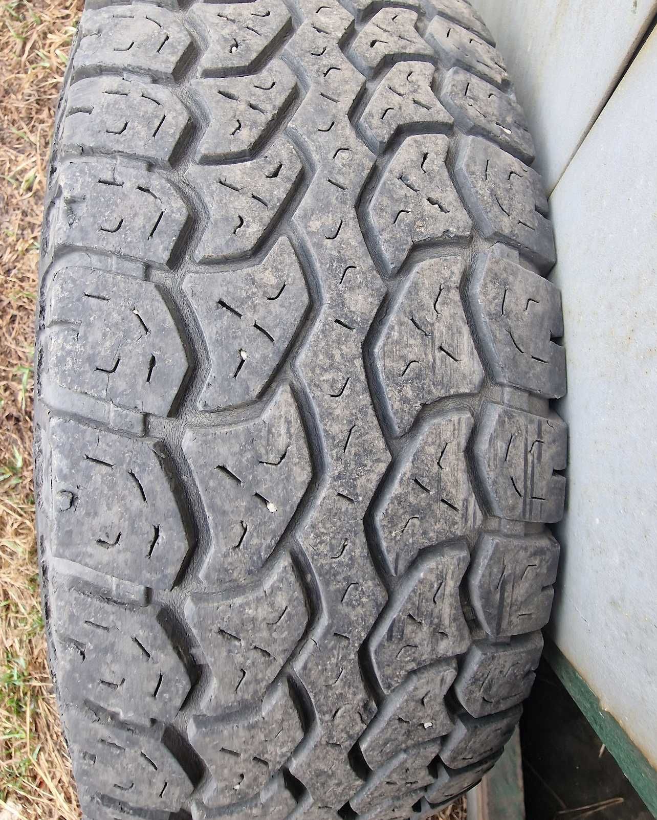 Mickey Thompson Sailun Terramax