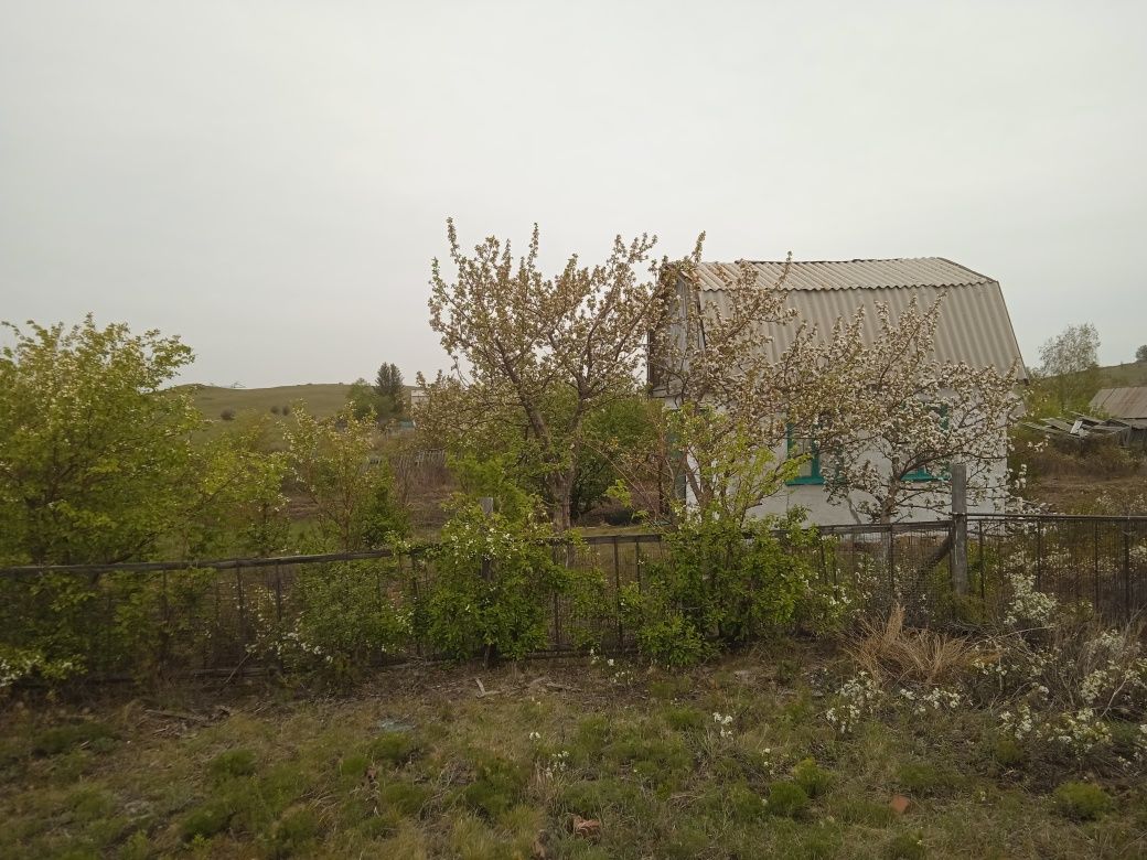 Продам дачу в Боровом.