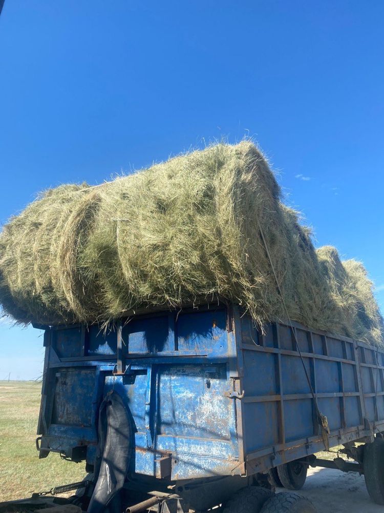 Продам сено в рулонах