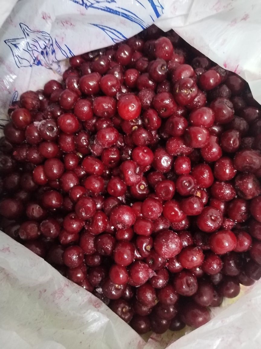 Продам черешню   . Домашняя  цена договорная