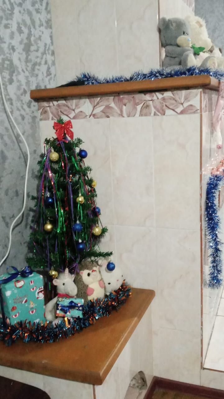 Гостевой дом в Боровом