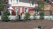 **Озеленение участков и территорий — Профессионально и с любовью