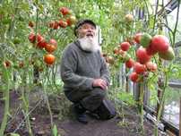 Теплицы от 126000 тенге скидка пенсионерам