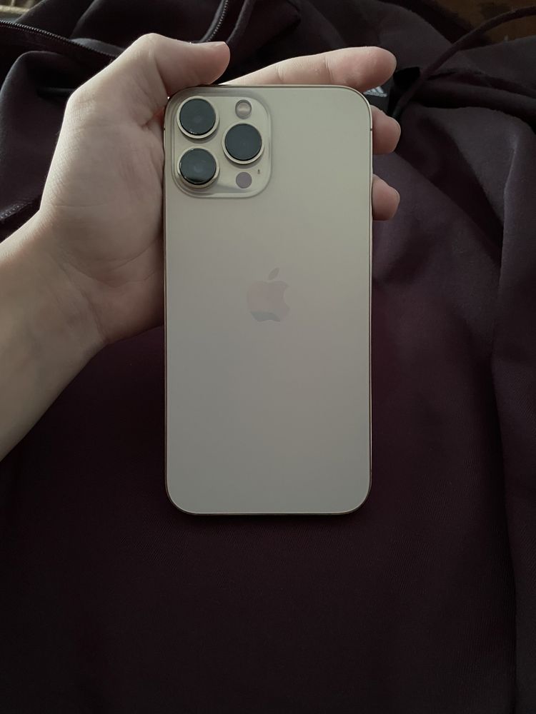 iPhone 13 Pro Max