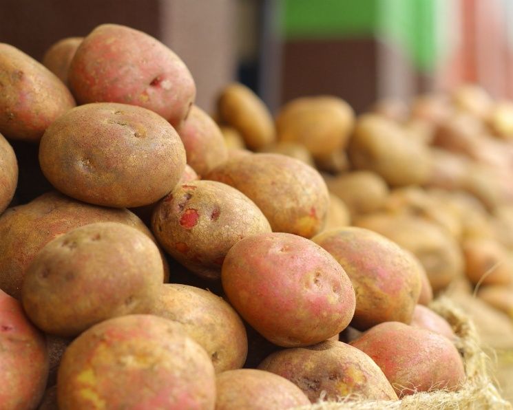 Продам  картошку