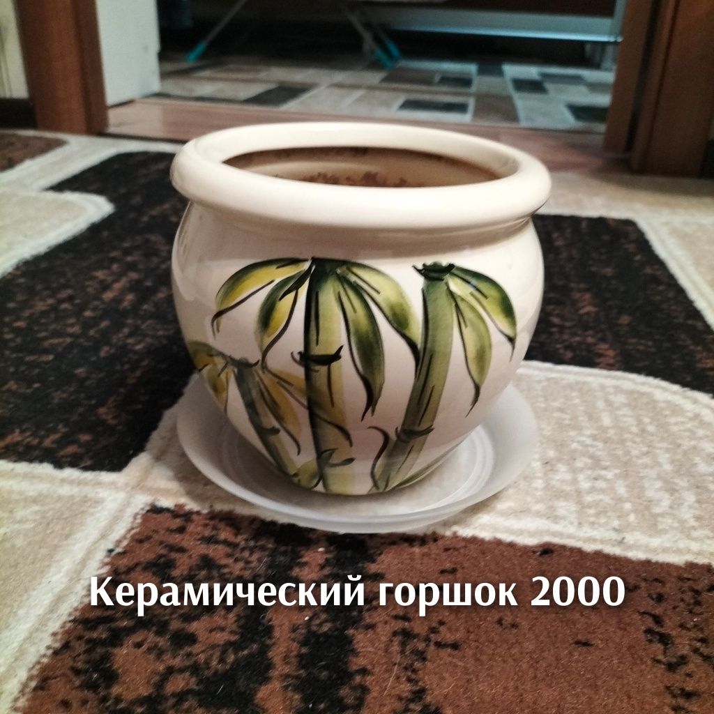 Горшки для цветов не дорого