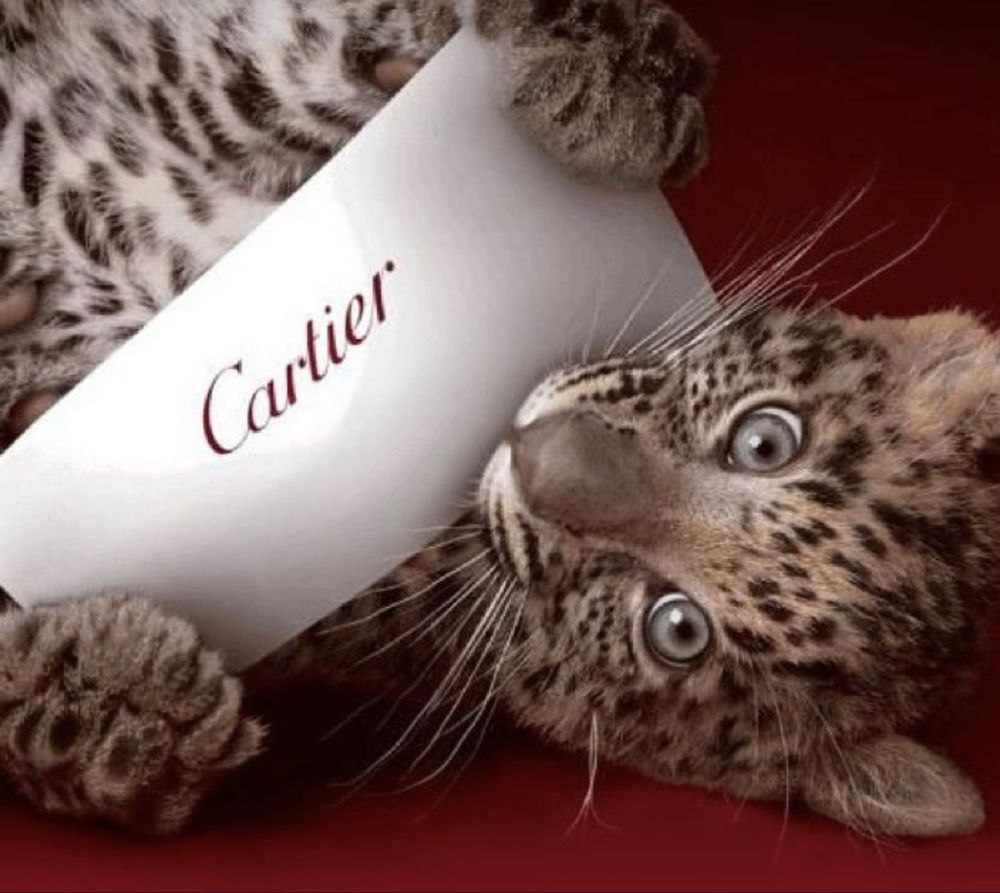 найдены очки женские французского бренда Cartier.