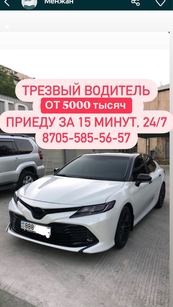 Трезвый водитель