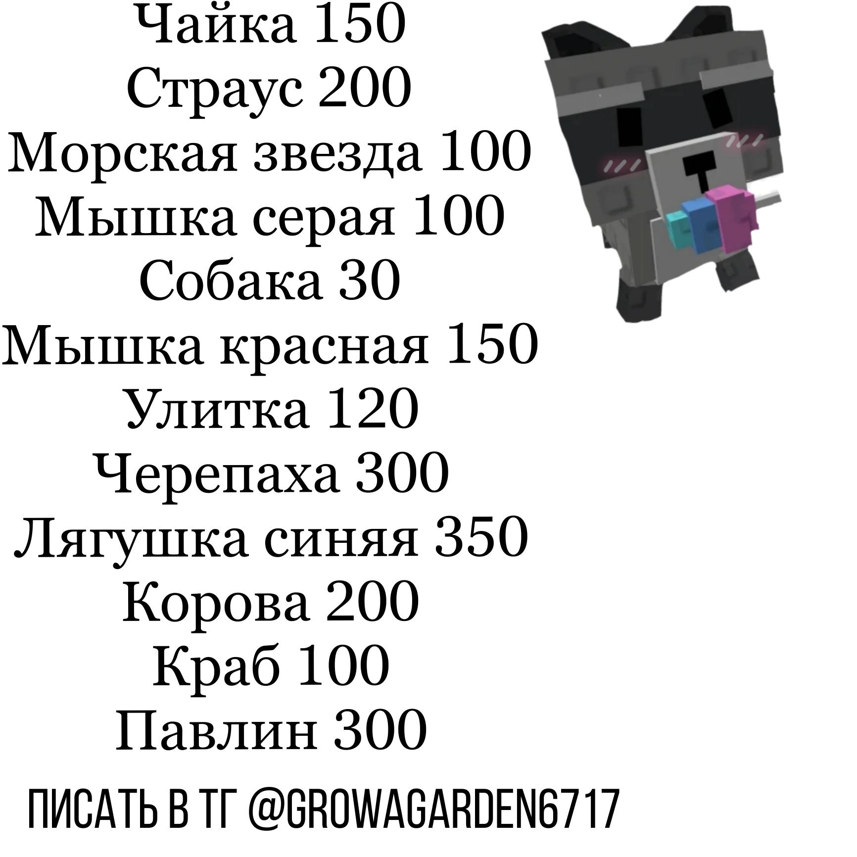 Продаю питомцев в вырасти сад
