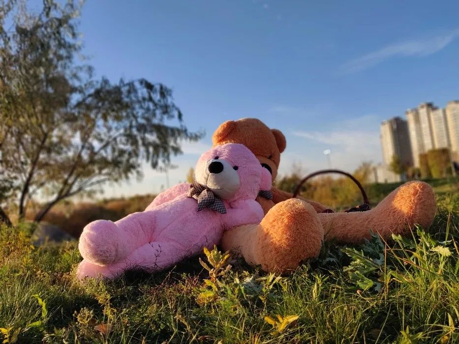 Плюшевые медведи мишки Нестор| мишки Teddy | СКИДКИ