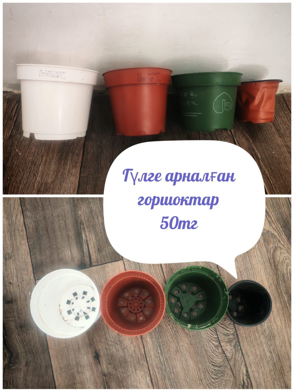 фикус , сансевиля,алое,калатн,шефлера.