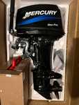 Новый Меркури - 25 sea pro