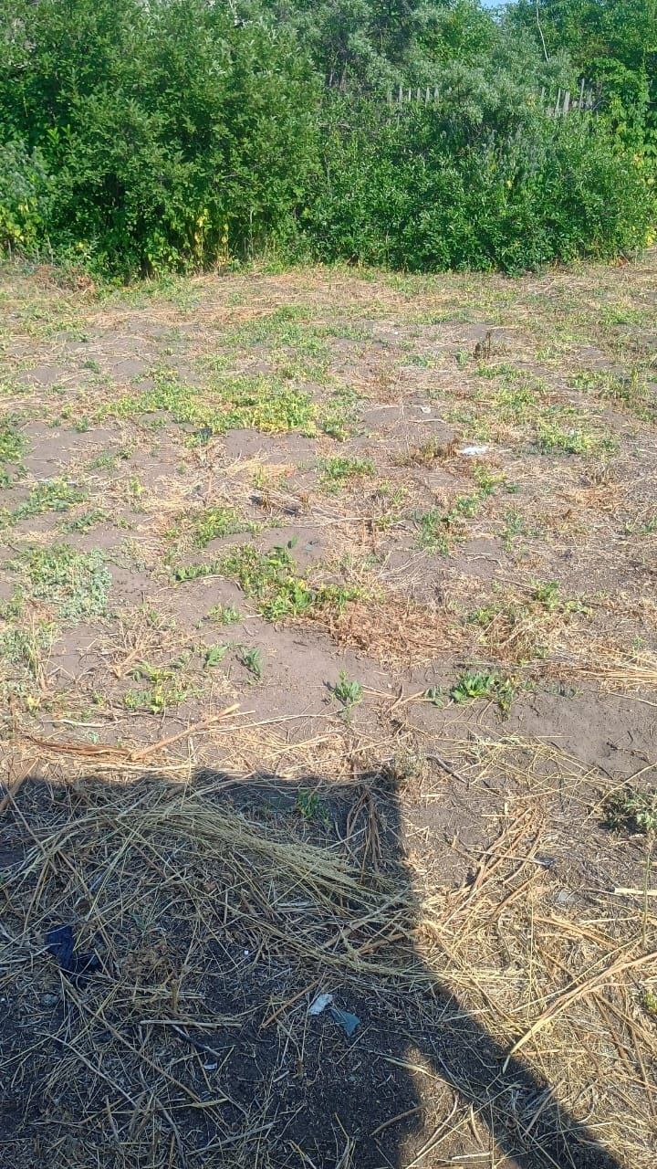 Продам дачу. 10 соток.