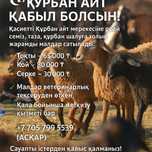 Курбандыкка Токтылар 65 000 тенге