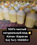 Мед / мед Катон -Карагая / горный мед / натуральный мед / разнотравье