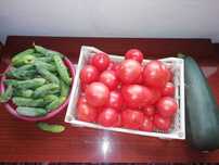 Продам помидоры, огурцы