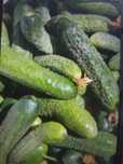 Продам домашние огурцы