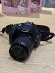 Фотоаппарат сдам на аренду Canon EOS250D