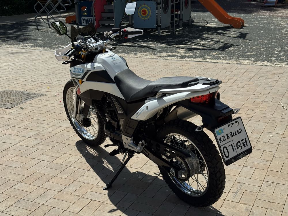 Racer Almotor 300