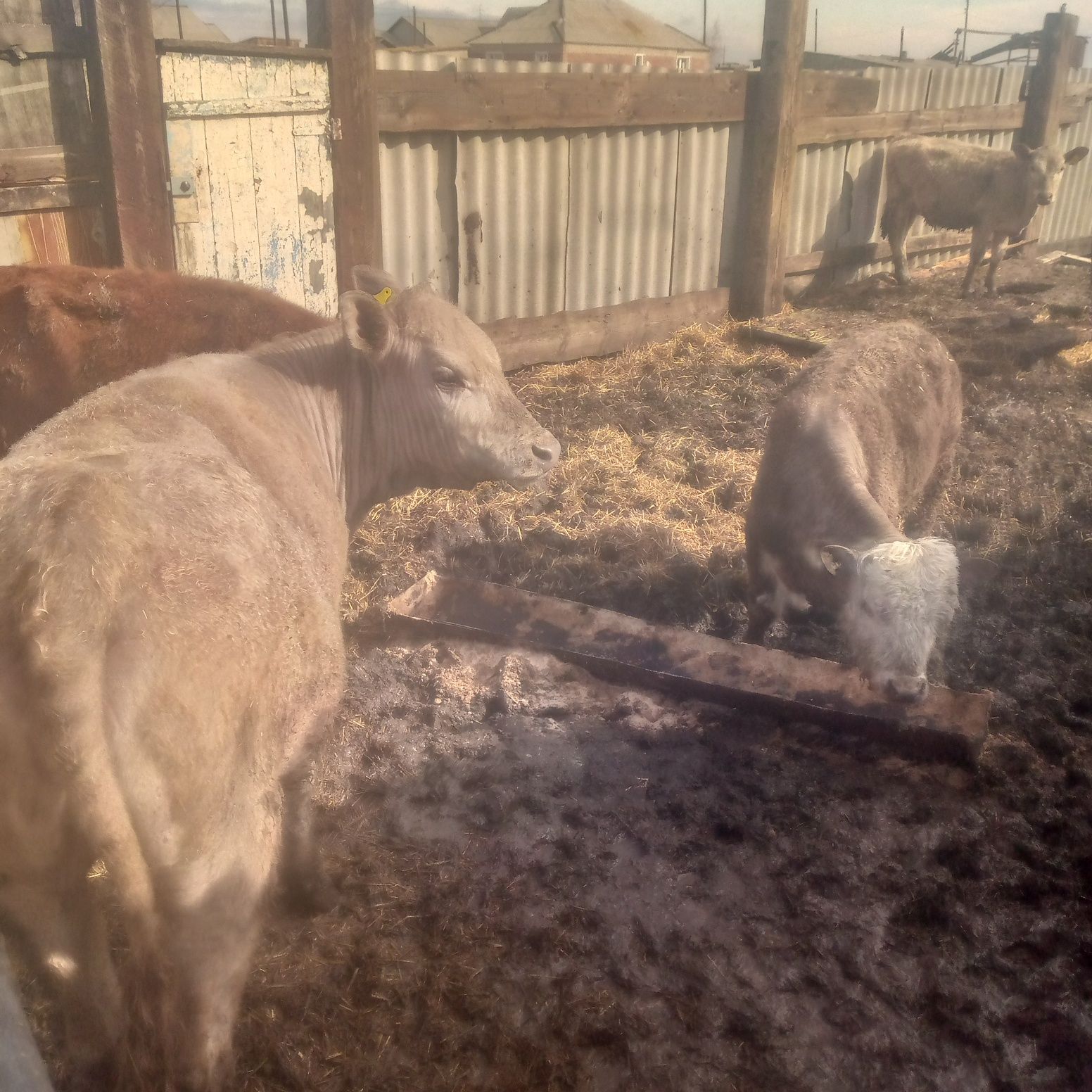 Здраствуйте продам