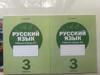 рабочие тетради