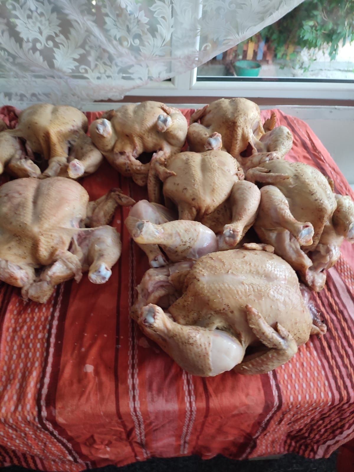 Продам курей звоните.