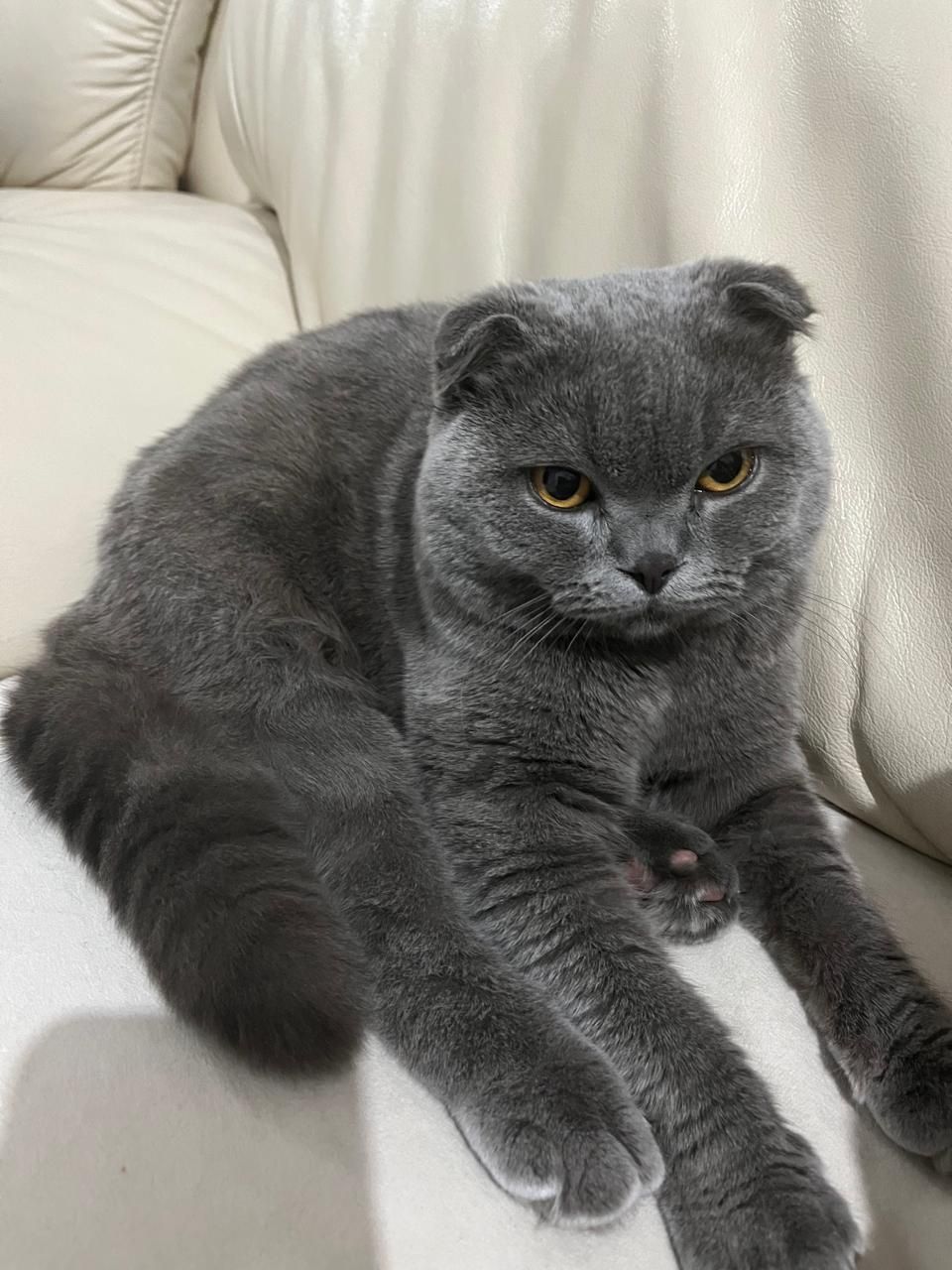 Взяка  приглашаем невесту можно  у нас можно  у вас