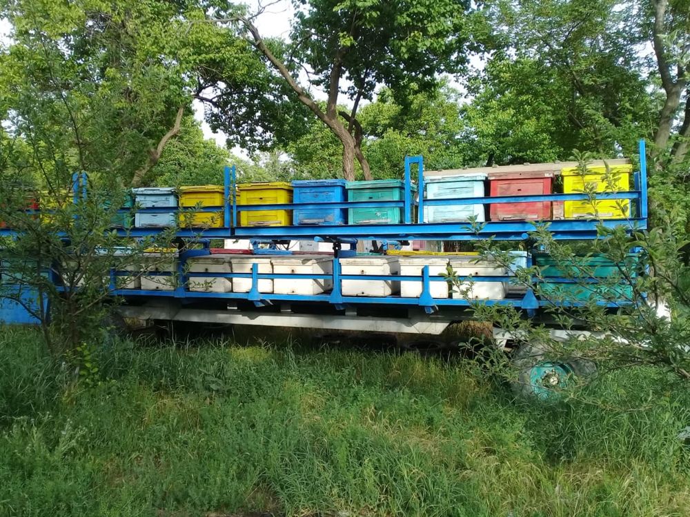 Продается на колесах Пасека